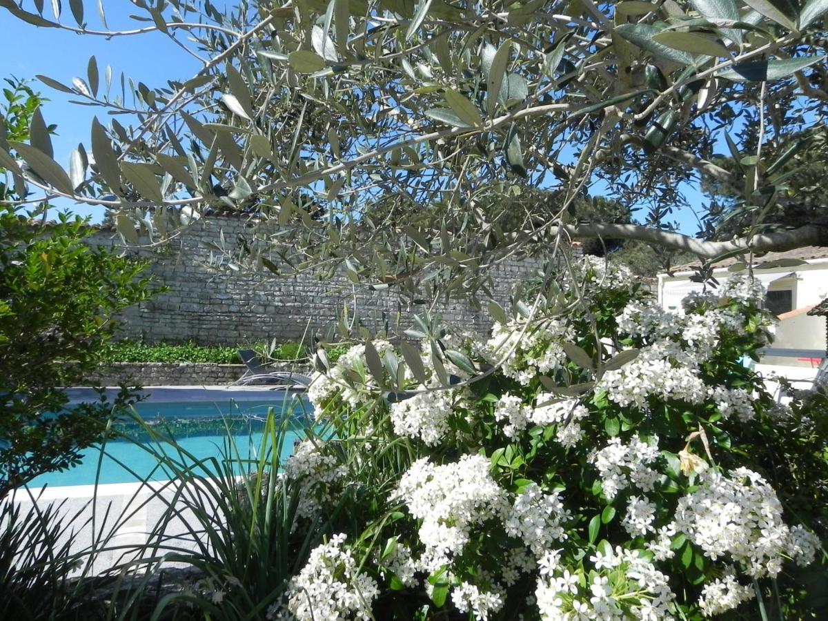 Villa Del Re 10 ลาฟร็อตต์ ภายนอก รูปภาพ